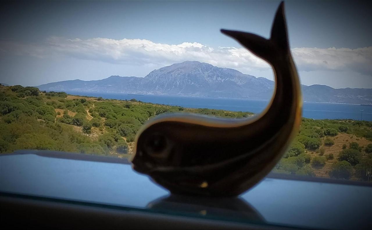 La Ballenita De Tarifa Dış mekan fotoğraf