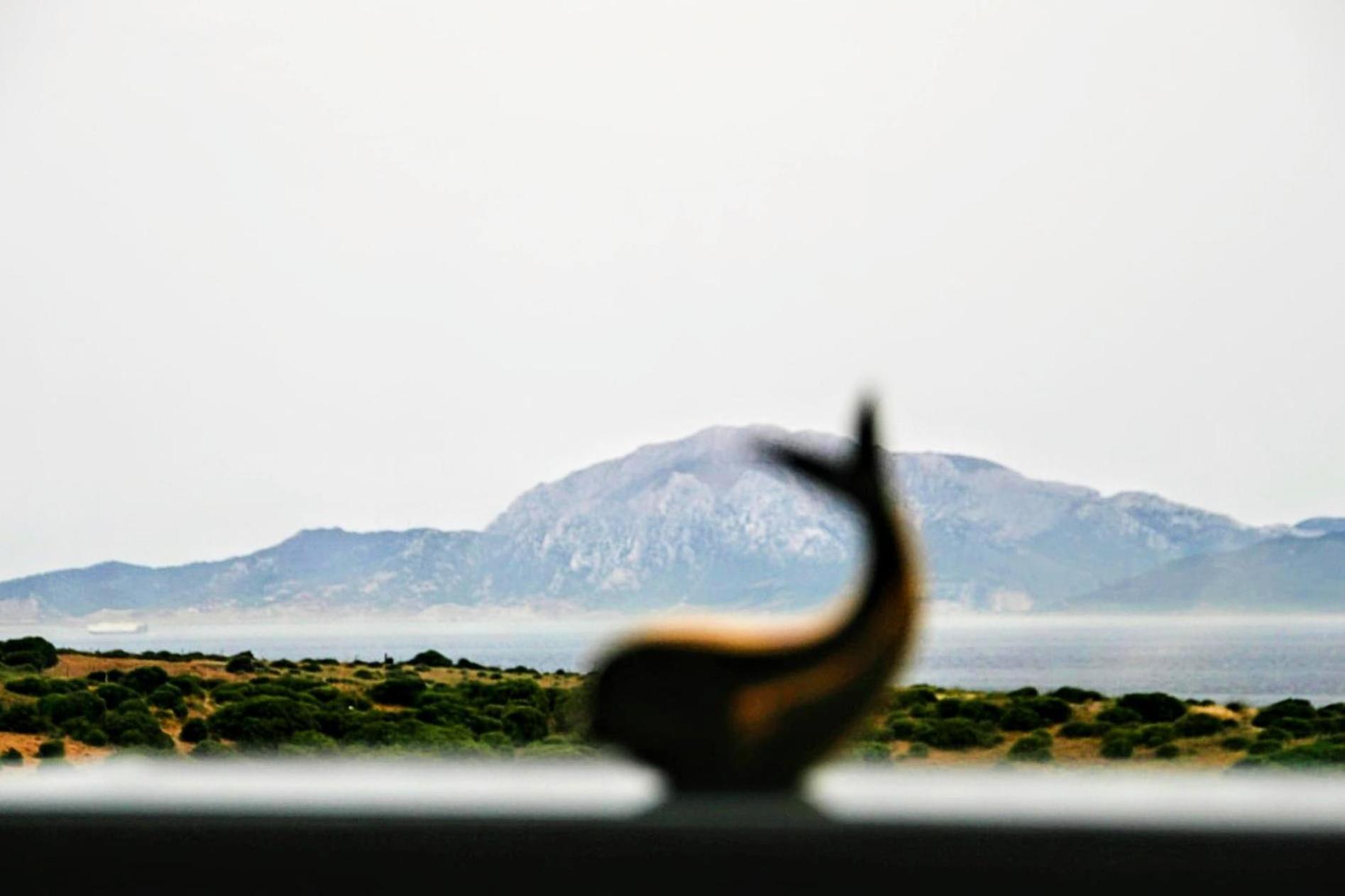 La Ballenita De Tarifa Dış mekan fotoğraf